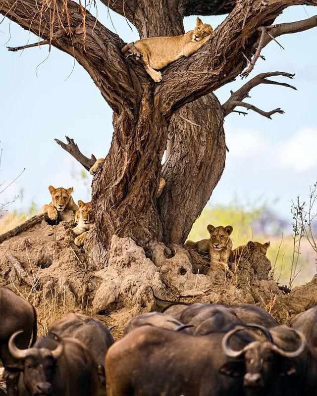 Serengeti National Park