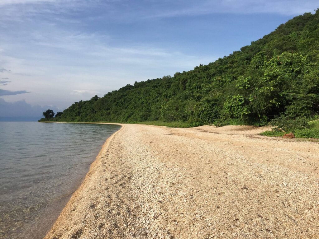 Gombe_Stream_National_Park_Lake_Tanganyika_Shore)line_45