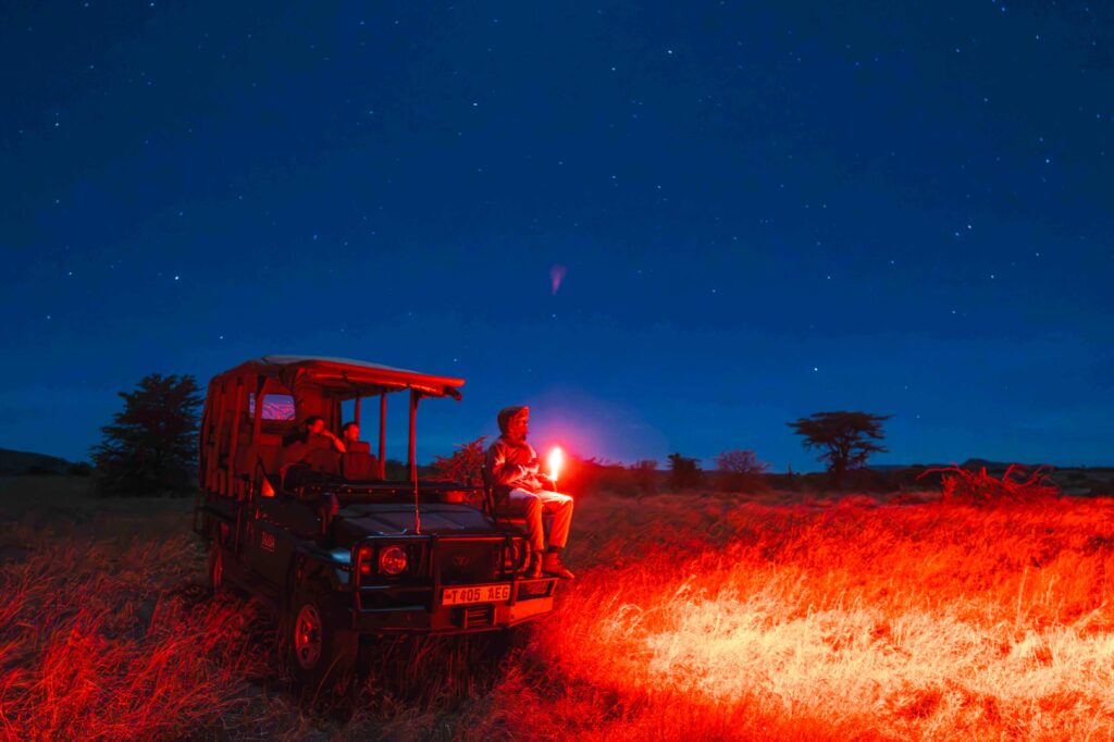 TAASA-Lodge-Tanzania-Safari-11-1024x682