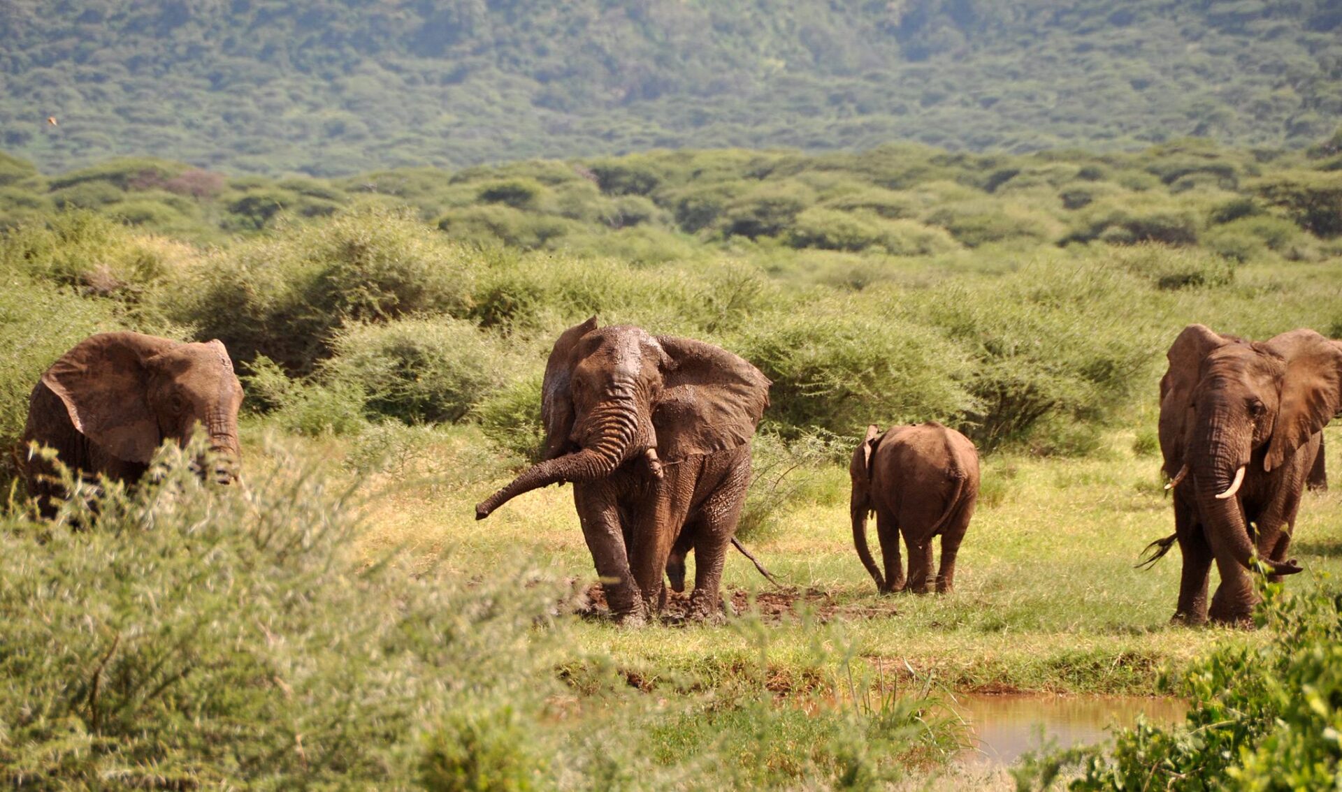 lake-manyara-featured