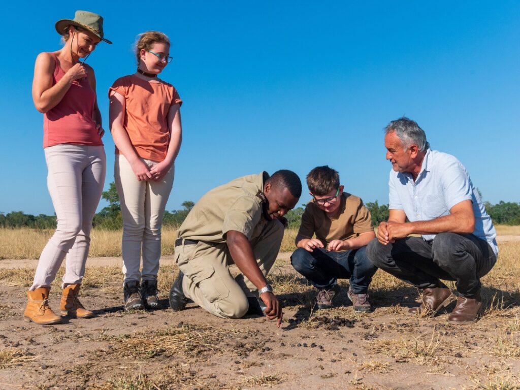 sabi-sabi-experience-walking-safari-animal-tracking