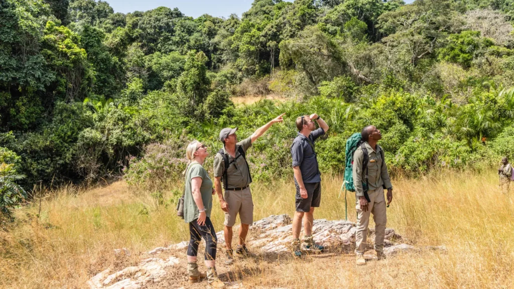 walking-safari-on-rubondo-island